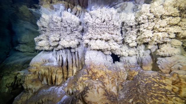 Doğal ve tarihi zenginlikler su altı kamerasında