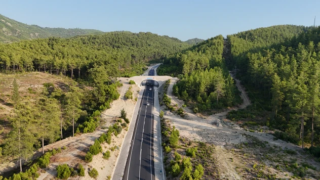 Ekolojik köprüler yaban hayatını koruyor