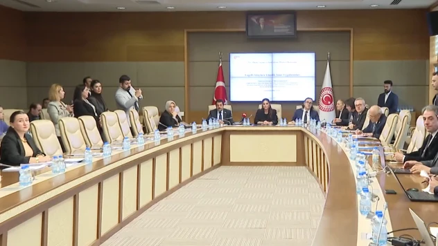 Engellilerin Sorunlarını Araştırma Komisyonu, ÖSYM ve TÜBİTAK yetkililerini dinledi