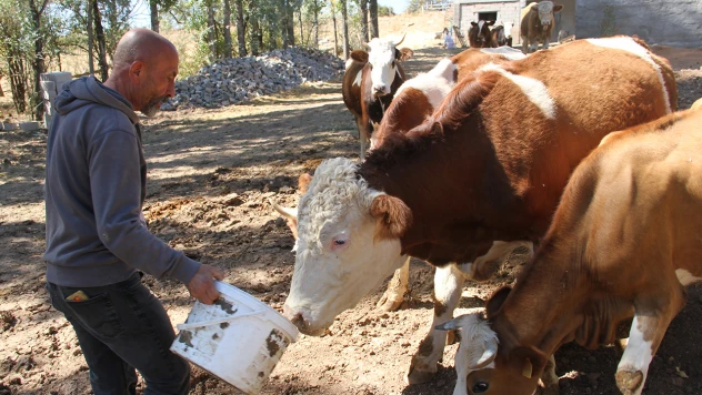 Eski hükümlü, devlet desteğiyle hayata yeniden tutundu