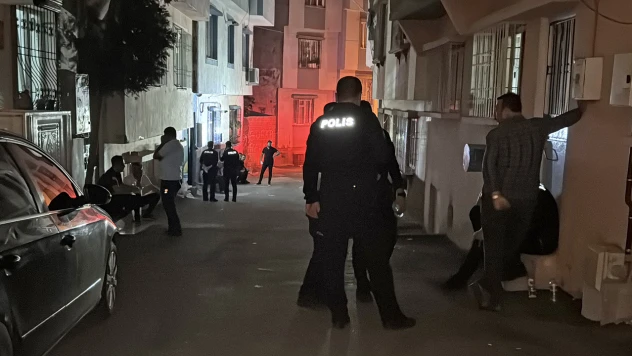 Eski köy muhtarı kardeşini öldürdü, oğlunu ve diğer kardeşini yaraladı