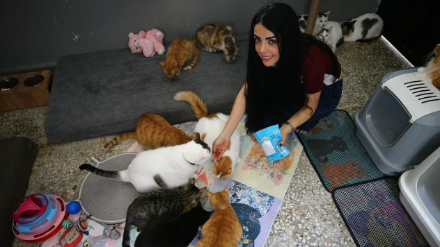 Evinin damını sahipsiz kediler için yuvaya dönüştürdü