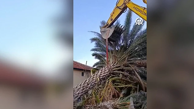 Fırtına ağaçları kökünden söktü, elektrik direklerini devirdi