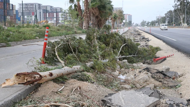 Fırtına ağaçları yerinden söktü, 6 tekne 1 bot alabora oldu