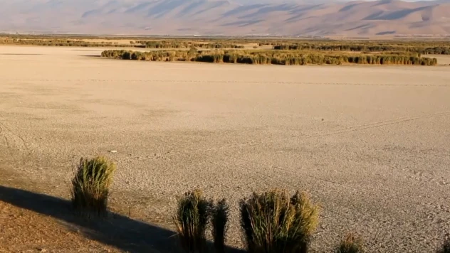 Fotoğrafçılar kuruyan Ereğli Akgöl Sazlıkları'nı görüntüledi