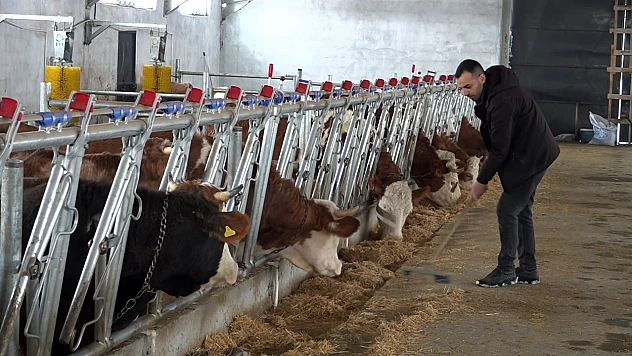 Genç girişimci devlet desteğiyle geleneksel hayvancılıktan modern üretime geçti