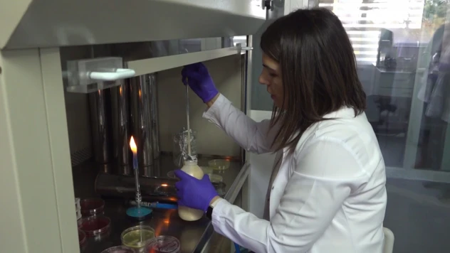 Gıdanın bozulduğunu renkle bildiren çalışma tescillendi