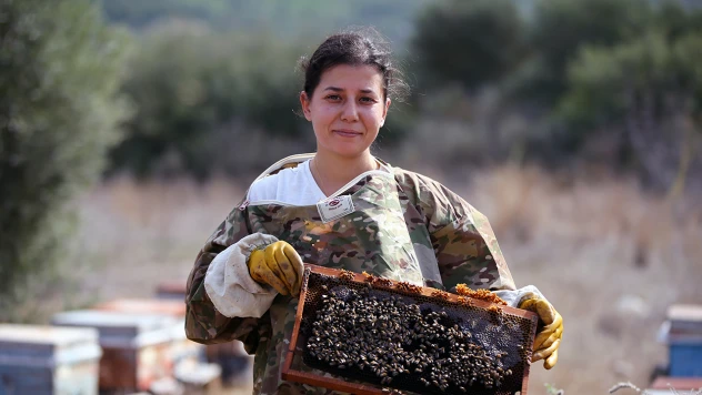 Girişimci kadın, kovan sayısını 12'den 200'e çıkardı