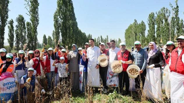 Gönüllü gençler hasat için tarım alanlarında