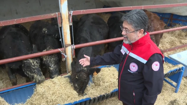 Hayvancılığa Destek Projesi meyvelerini vermeye başladı