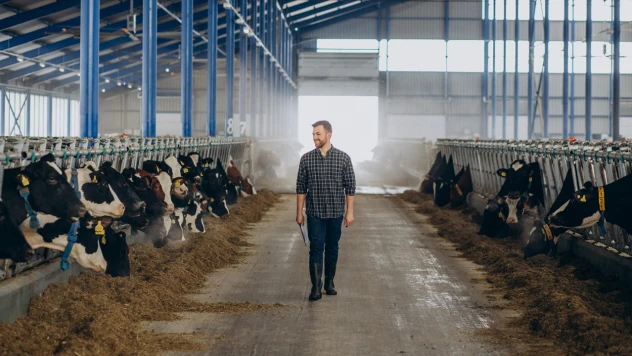 Hayvancılıkla ilgili destekleme miktarları arttırıldı