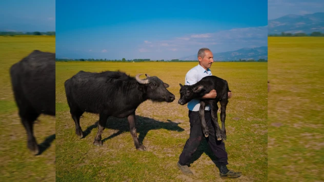 Huawei XMAGE 2025'te Türk fotoğrafçı dünya ikincisi oldu