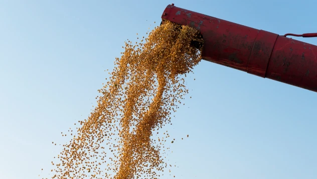 Hububat alımlarında 1 milyon ton eşiği aşıldı