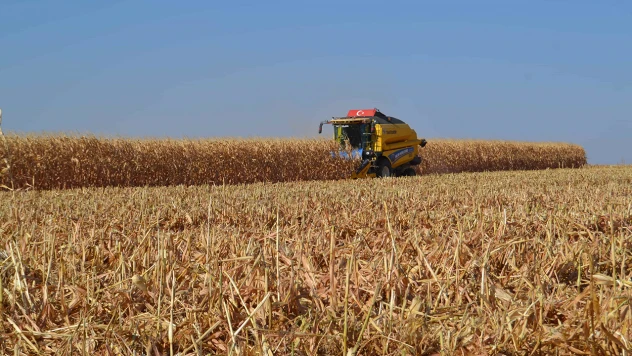Hububat, bakliyat ve yağlı tohumlar ihracatı yüzde 3,6 arttı