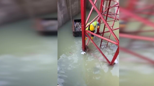 İnşaat alanındaki su dolu çukura düşen tilkiyi işçiler kurtardı