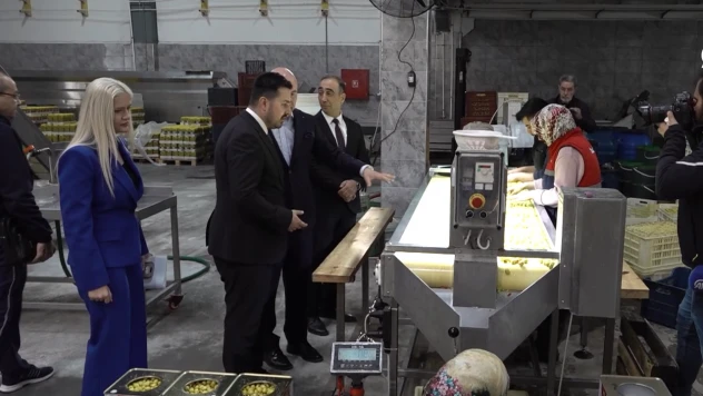 IPARD programlarıyla 26 bin projeye destek sağlandı