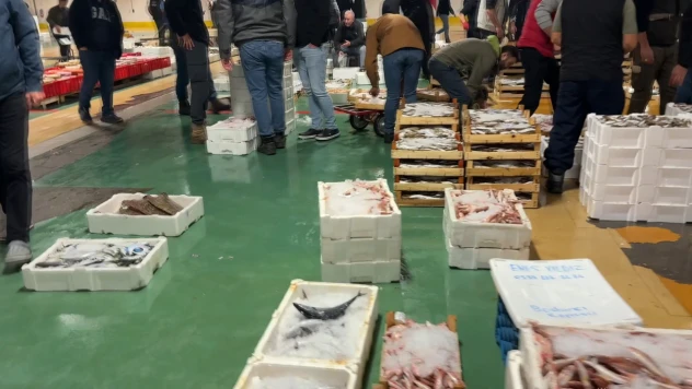 İstanbullu balıkçılar bir günlük hasılatını Gazze'ye bağışladı