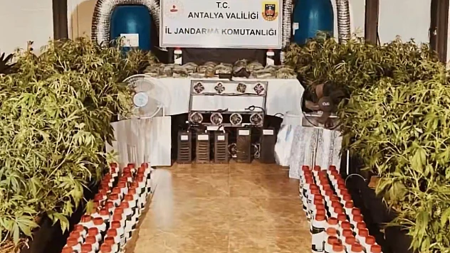 Jandarmadan son 2 haftada uyuşturucu tacirlerine büyük darbe