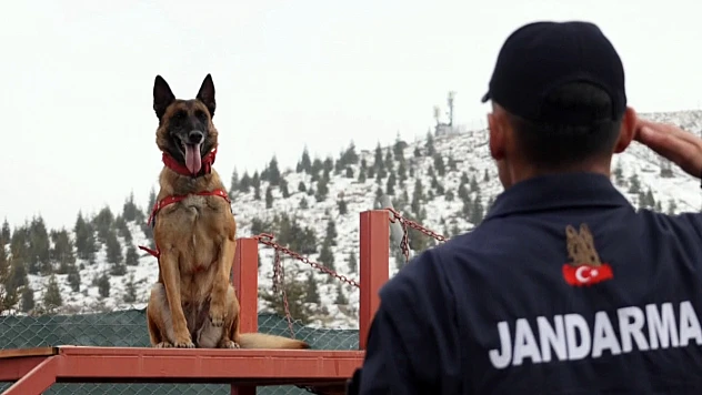 Jandarmanın hassas burnu Sima, her türlü afette görev başında