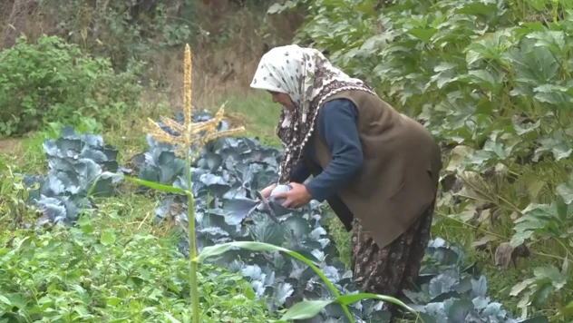 Kadın çiftçi tek başına 14 çeşit ürün yetiştiriyor