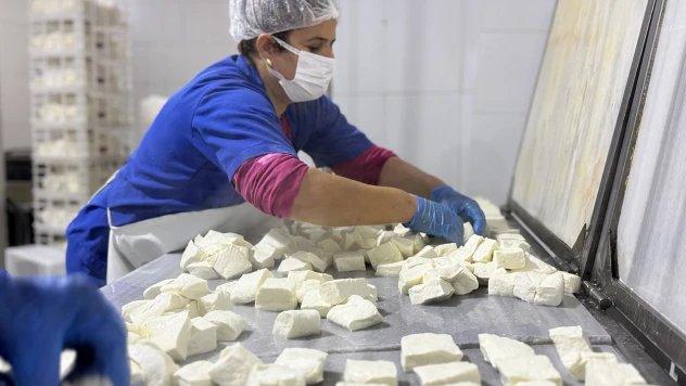 Kadın girişimci e-ticarette yöresel lezzetleri tüketicilere ulaştırıyor