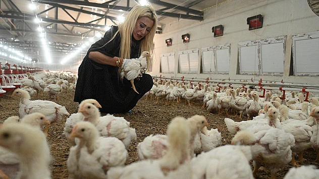 Kadın girişimcinin hayali devlet desteğiyle gerçeğe dönüştü