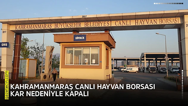 Kahramanmaraş Canlı Hayvan Borsası kar nedeniyle kapalı