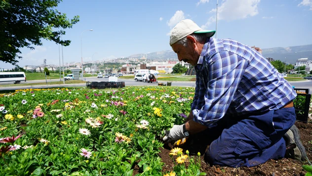 Kahramanmaraş çiçek açıyor