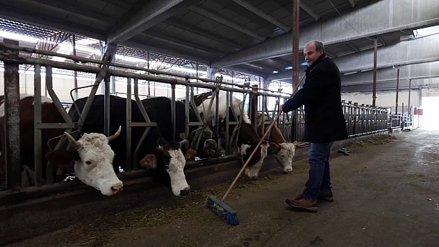 Kahramanmaraş depremlerinde hayvanları telef olan besici, devlet desteğiyle durdu