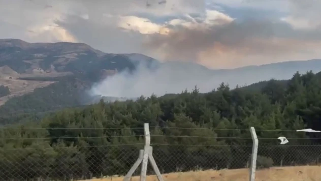 Kahramanmaraş'ın ormanlarını alevler sardı: Onikişubat'ta çifte yangın alarmı