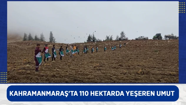 Kahramanmaraş'ta 110 hektarda yeşeren umut