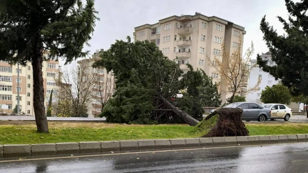 Kahramanmaraş'ta 3 ilçe için fırtına alarmı berildi