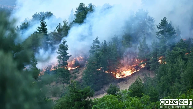 Kahramanmaraş'ta çıkan orman yangını kontrol altına alındı