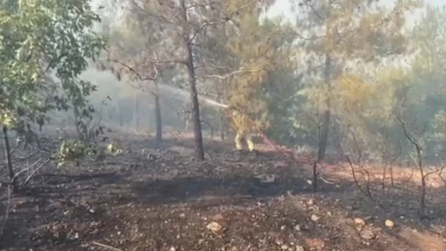 Kahramanmaraş'ta çıkan orman yangını söndürüldü
