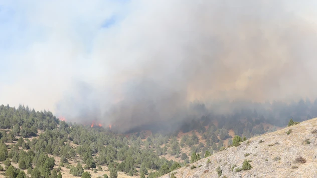 Kahramanmaraş'ta çıkan orman yangınına müdahale sürüyor