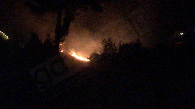 Kahramanmaraş'ta çıkan yangın 2 saatte kontrol altına alındı