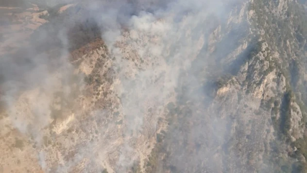 Kahramanmaraş'ta dün çıkan örtü yangını söndürüldü