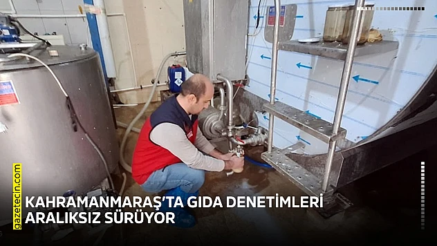 Kahramanmaraş'ta gıda denetimleri aralıksız sürüyor