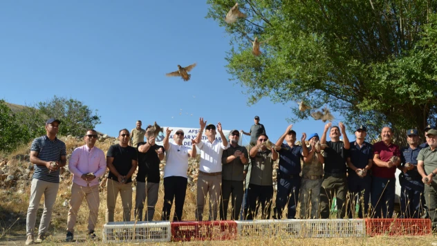 Kahramanmaraş'ta kene avcısı kınalı kekliklere yakın takip