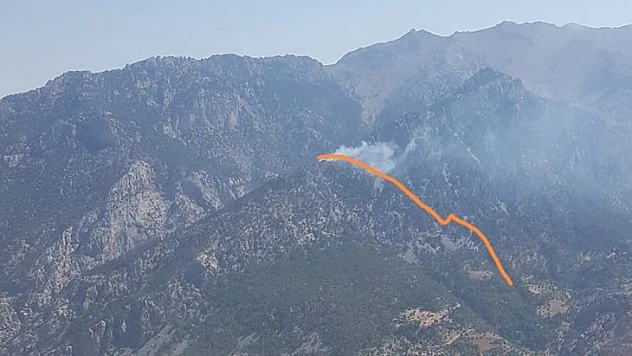 Kahramanmaraş'ta orman yangını çıktı