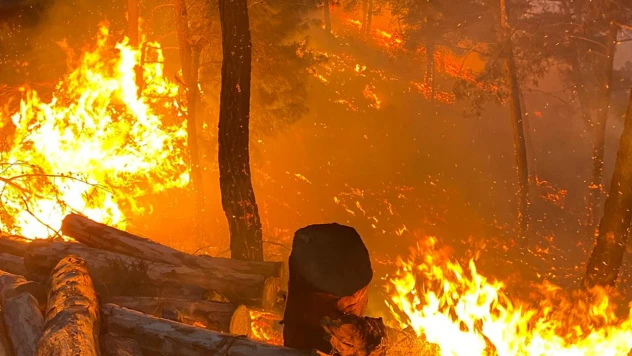 Kahramanmaraş'ta orman yangını! Havadan ve karadan müdahale başladı