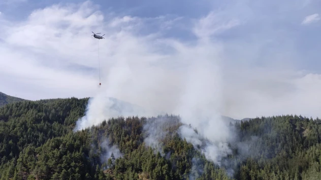 Kahramanmaraş'ta ormanlık alanda çıkan yangın kontrol altına alındı