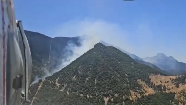 Kahramanmaraş'ta ormanlık alanda çıkan yangın kontrol altına alındı