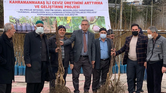 Kahramanmaraş'ta üreticilere 8 bin 119 adet ceviz fidanı dağıtıldı
