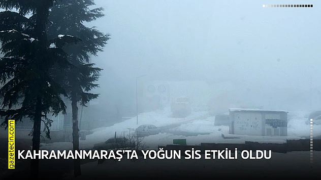 Kahramanmaraş'ta yoğun sis etkili oldu