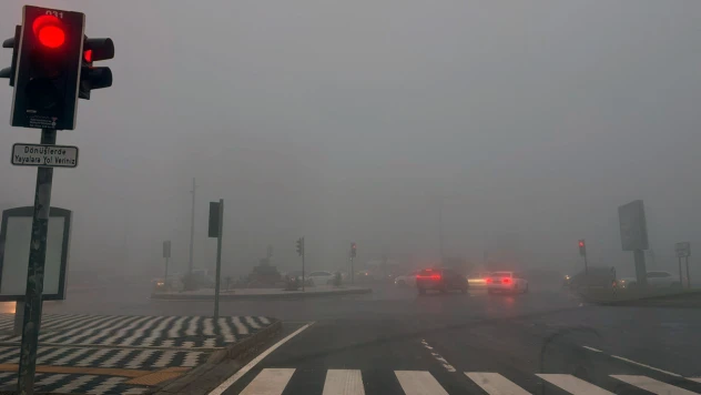 Kahramanmaraş'ta yoğun sis ulaşımı olumsuz etkiledi