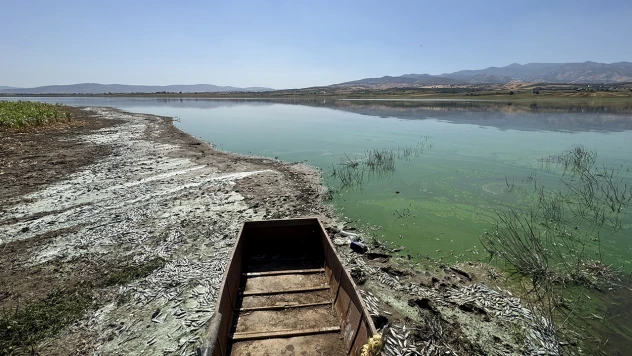 Kahramanmaraş'taki balık ölümleri araştırılıyor