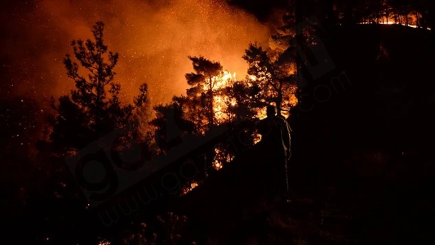 Kahramanmaraş'taki orman yangını sürüyor