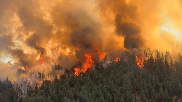 Kahramanmaraş'taki yangına havadan ve karadan müdahale ediliyor