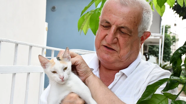 Kalbini açtığı 8 kediye, evinin bahçesine koyduğu kulübelerde bakıyor